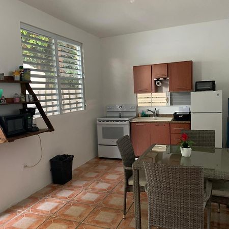 Million Dollar View In Puerto Rico Villa Luquillo Exterior foto