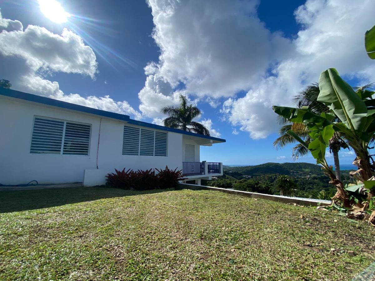 Million Dollar View In Puerto Rico Villa Luquillo Exterior foto