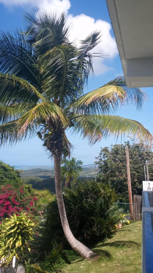 Million Dollar View In Puerto Rico Villa Luquillo Exterior foto