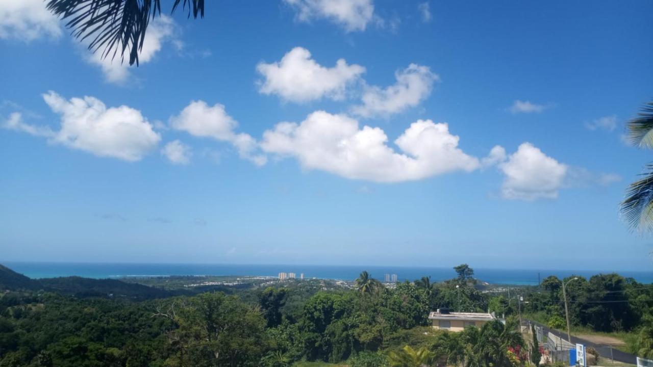 Million Dollar View In Puerto Rico Villa Luquillo Exterior foto