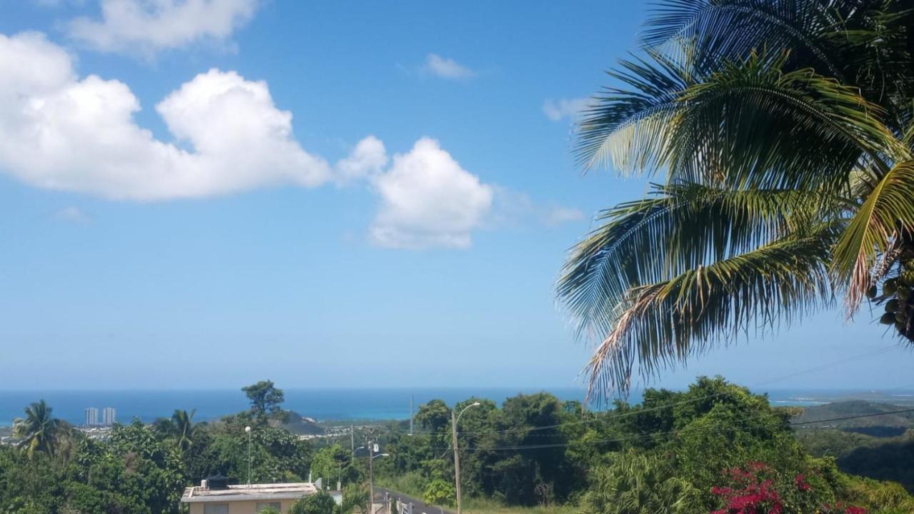 Million Dollar View In Puerto Rico Villa Luquillo Exterior foto