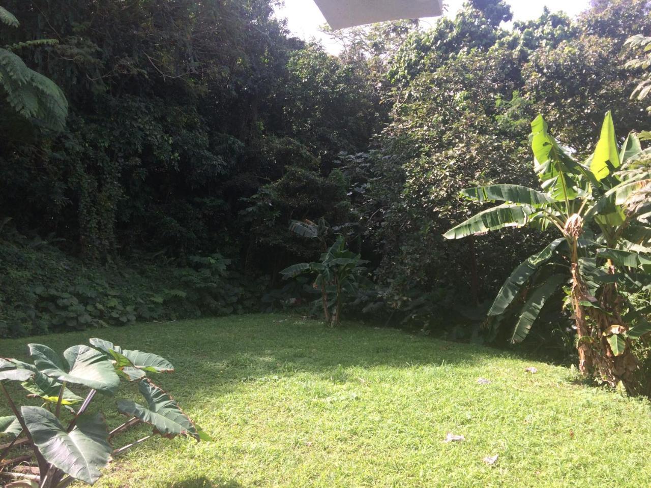Million Dollar View In Puerto Rico Villa Luquillo Exterior foto