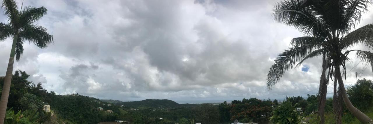 Million Dollar View In Puerto Rico Villa Luquillo Exterior foto