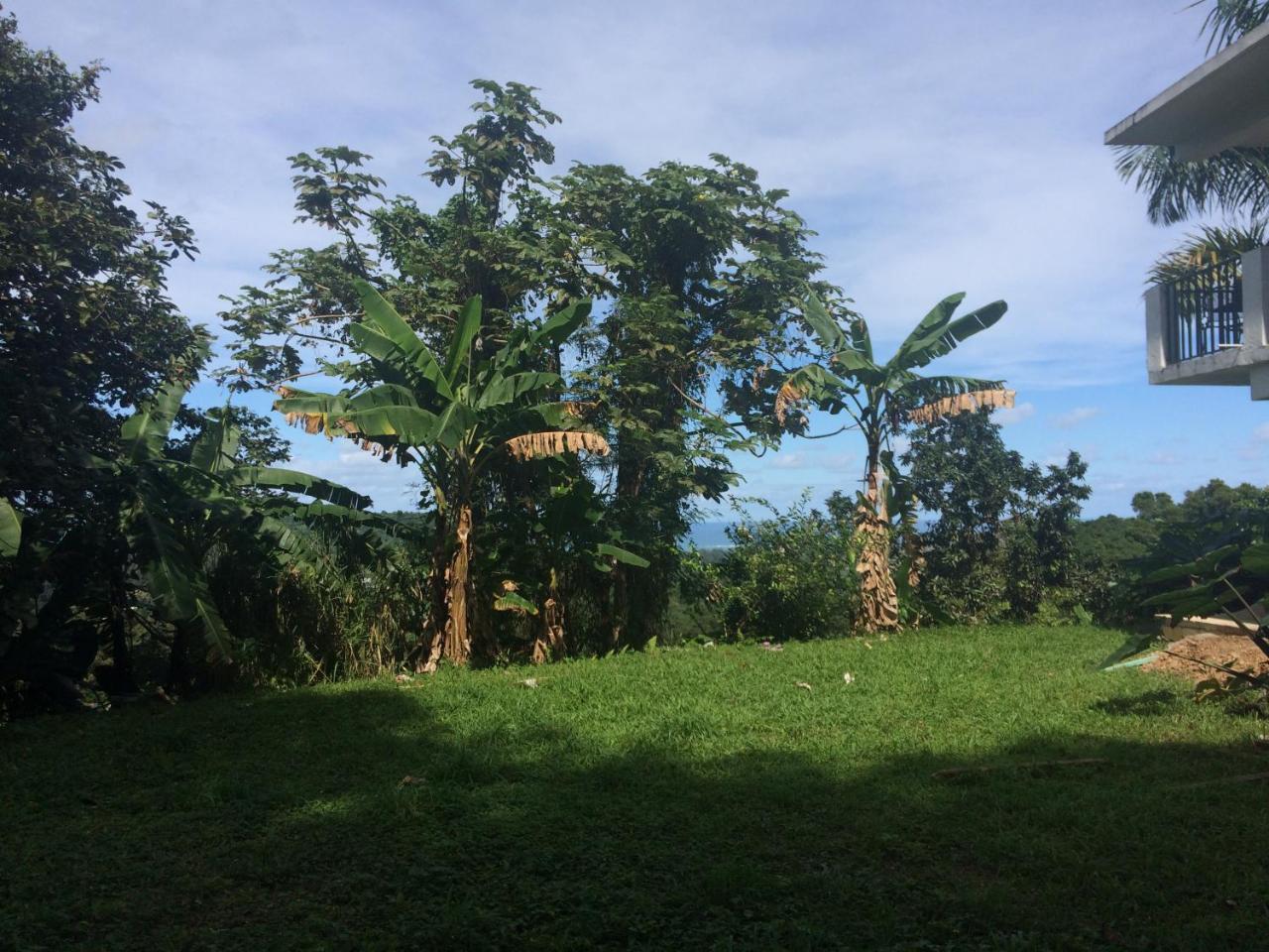 Million Dollar View In Puerto Rico Villa Luquillo Exterior foto